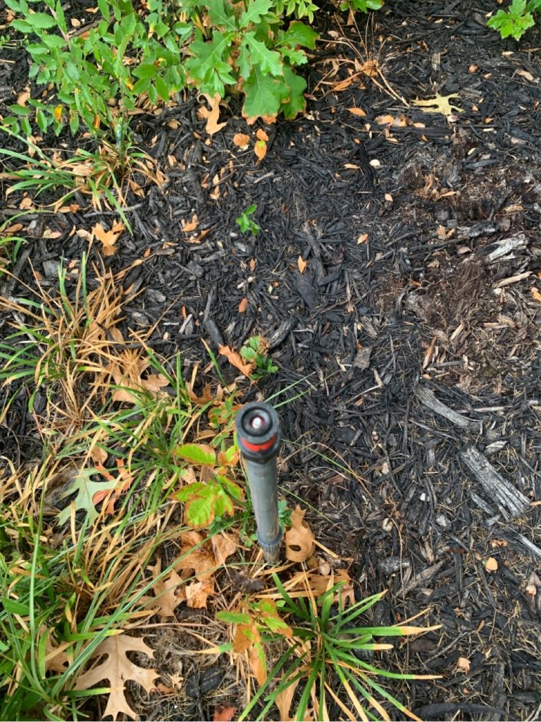 Forest Hill sprinkler repair