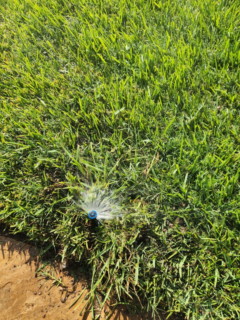 Hutto sprinkler repair