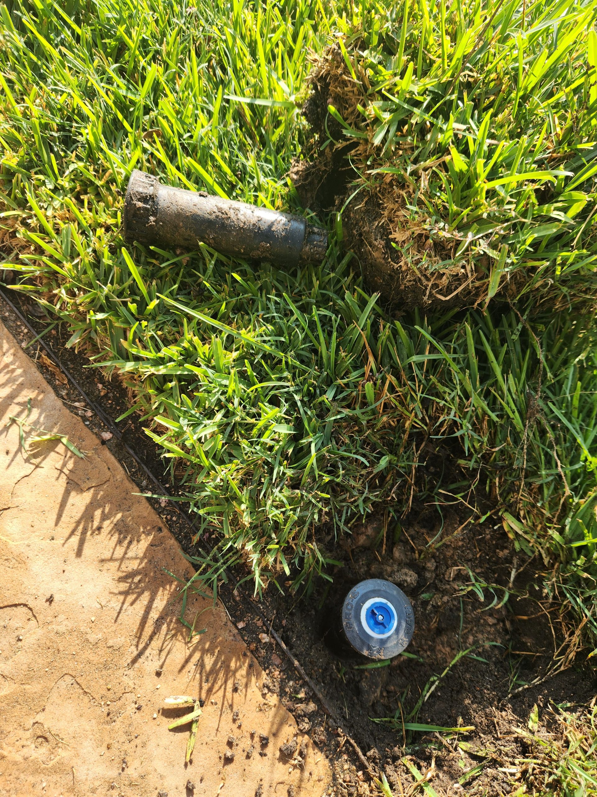 Hutto Irrigation repair