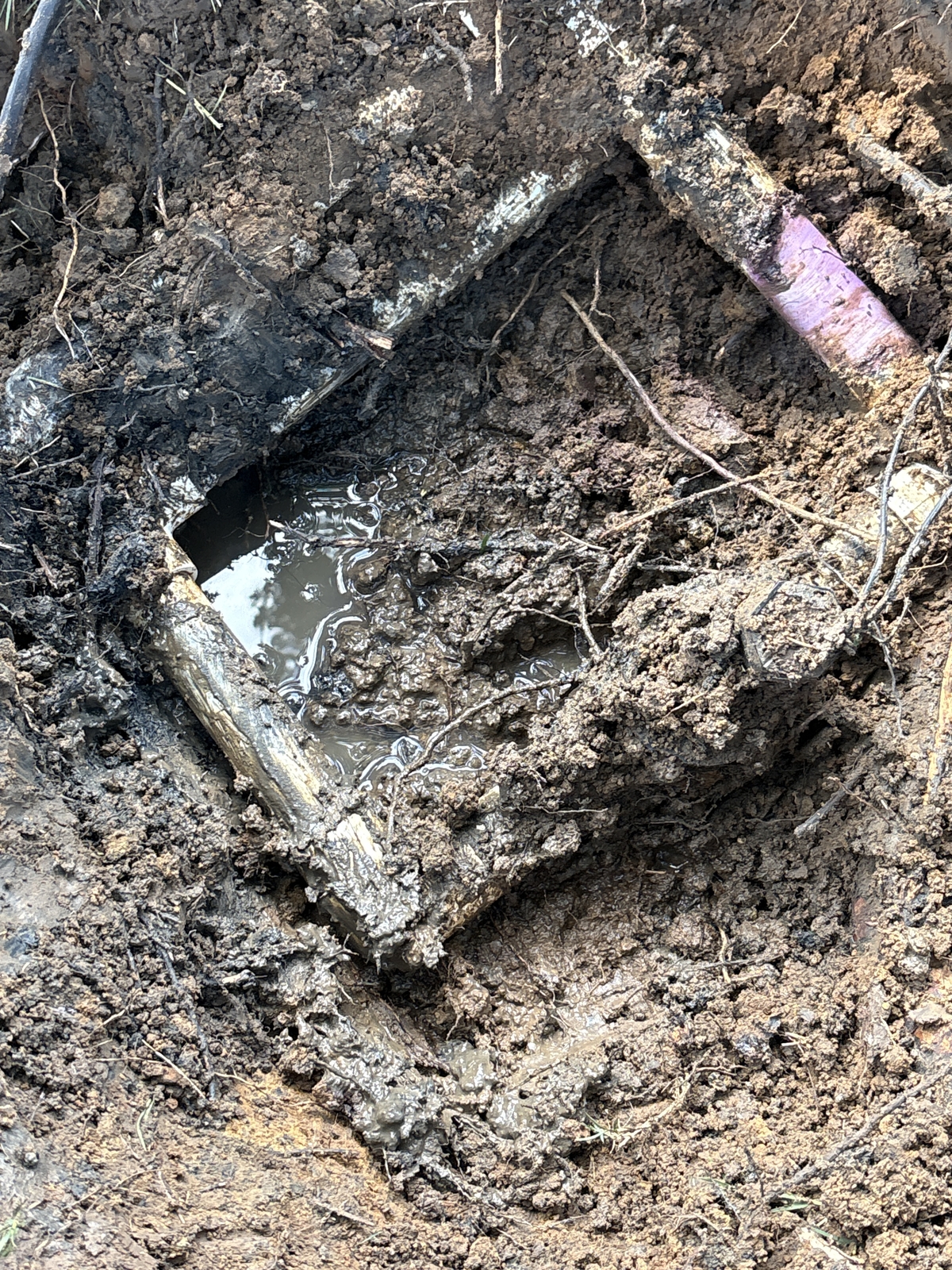 Before Sprinkler Repair Diagnostic service Before Sprinkler Repair Diagnostic in Grand Prairie, TX