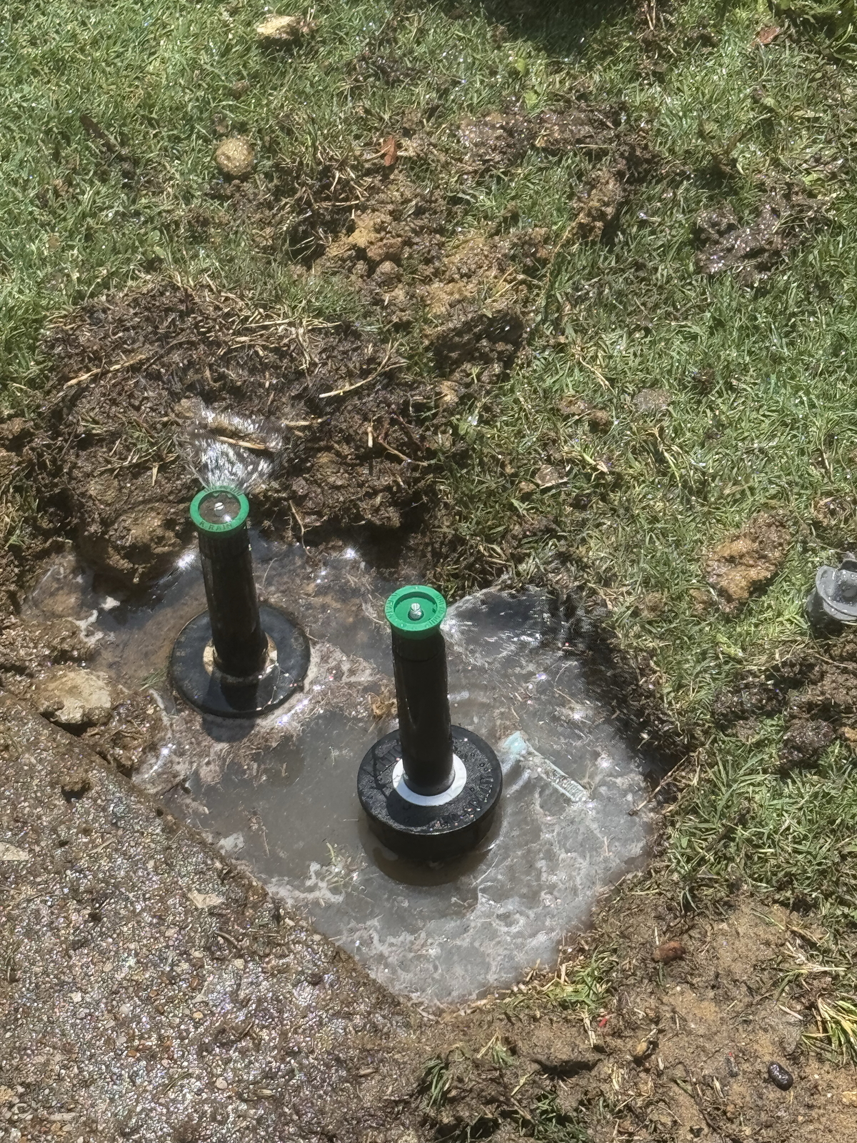 After Rainbird Spray Heads - Replacement