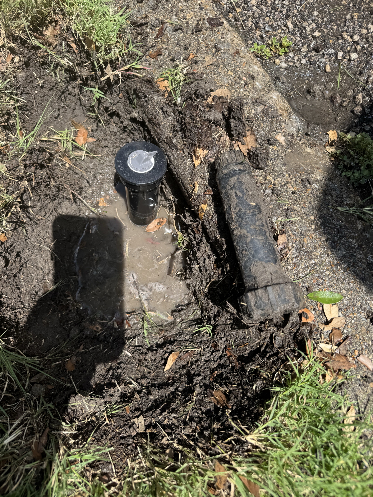 Before Rainbird Spray Heads - Replacement