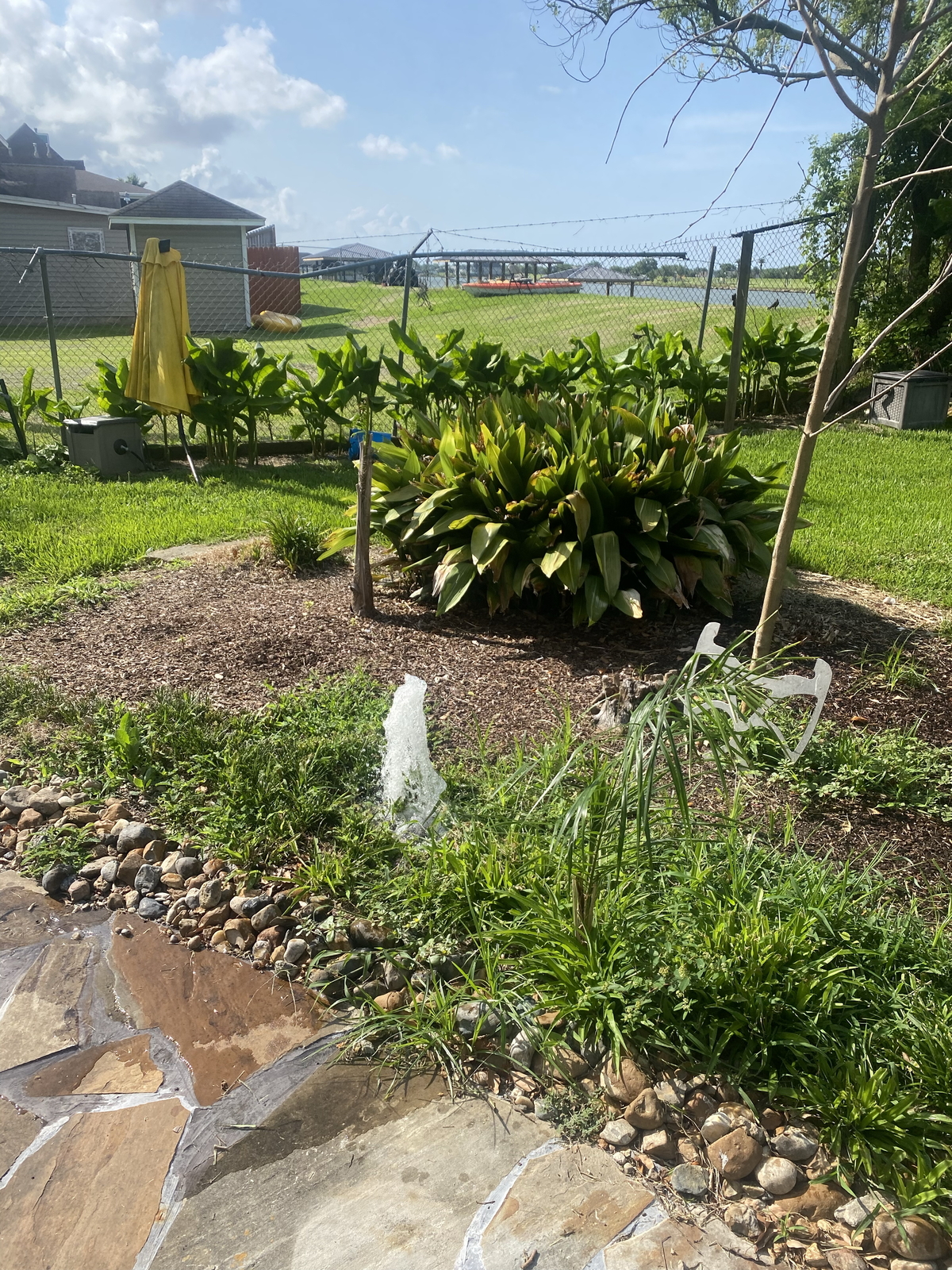 After Rainbird Spray Heads - Replacement