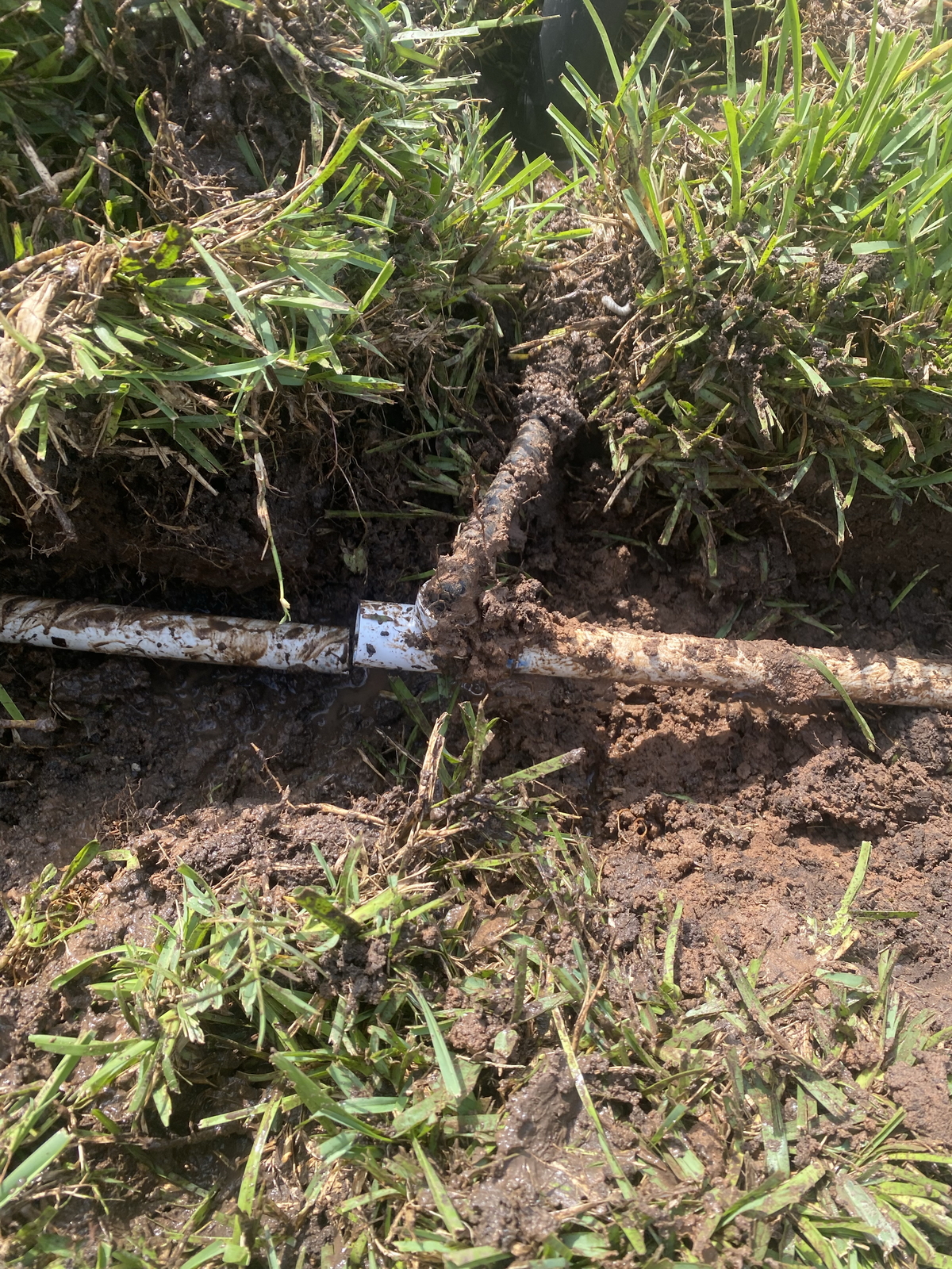 Before Rainbird Spray Heads - Replacement